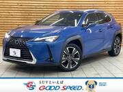 2019 LEXUS UX