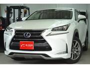 2014 LEXUS NX