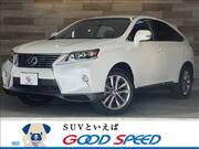 2013 LEXUS RX