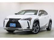 2021 LEXUS UX