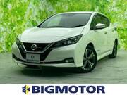 2019 NISSAN LEAF G