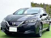 2018 NISSAN LEAF