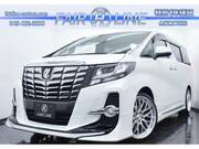 2016 TOYOTA ALPHARD