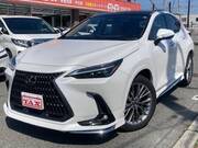 2023 LEXUS NX