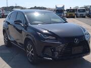 2019 LEXUS NX