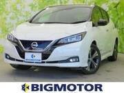 2019 NISSAN LEAF G