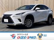 2018 LEXUS NX