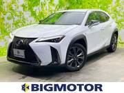 2019 LEXUS UX