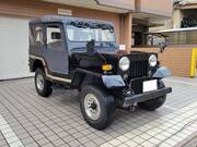 1996 MITSUBISHI JEEP