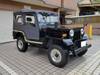 MITSUBISHI JEEP
