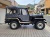 MITSUBISHI JEEP