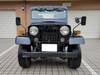 MITSUBISHI JEEP