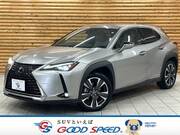 2019 LEXUS UX