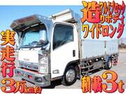 2010 ISUZU OTHER