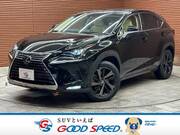 2018 LEXUS NX