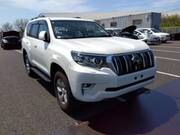 2020 TOYOTA LAND CRUISER PRADO TX