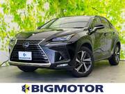 2020 LEXUS NX