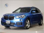 2017 BMW X1