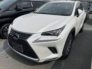 2021 LEXUS NX