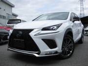 2018 LEXUS NX