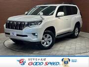 2019 TOYOTA LAND CRUISER PRADO