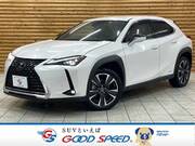 2020 LEXUS UX