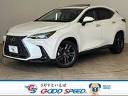 2022 LEXUS NX