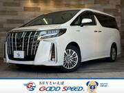 2019 TOYOTA ALPHARD HYBRID