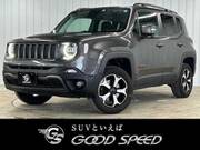 2019 CHRYSLER JEEP RENEGADE