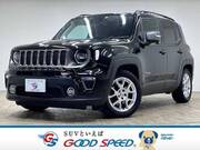 2019 CHRYSLER JEEP RENEGADE