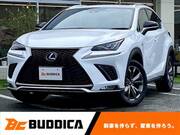 2019 LEXUS NX