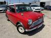 ROVER MINI