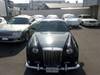 MITSUOKA GALUE II