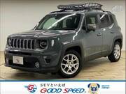 2019 CHRYSLER JEEP RENEGADE