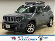 2019 CHRYSLER JEEP RENEGADE