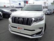 2019 TOYOTA LAND CRUISER PRADO
