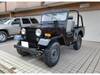 MITSUBISHI JEEP