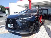 2022 LEXUS NX