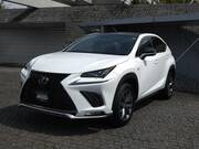 2018 LEXUS NX