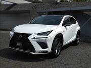2018 LEXUS NX