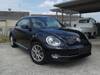 VOLKSWAGEN THE BEETLE