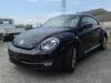 VOLKSWAGEN THE BEETLE