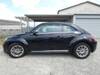VOLKSWAGEN THE BEETLE