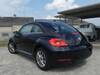 VOLKSWAGEN THE BEETLE