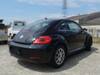 VOLKSWAGEN THE BEETLE