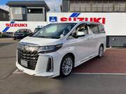2022 TOYOTA ALPHARD