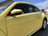 VOLKSWAGEN THE BEETLE