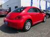 VOLKSWAGEN THE BEETLE