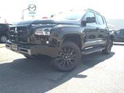 2024 MITSUBISHI TRITON
