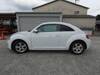 VOLKSWAGEN THE BEETLE
